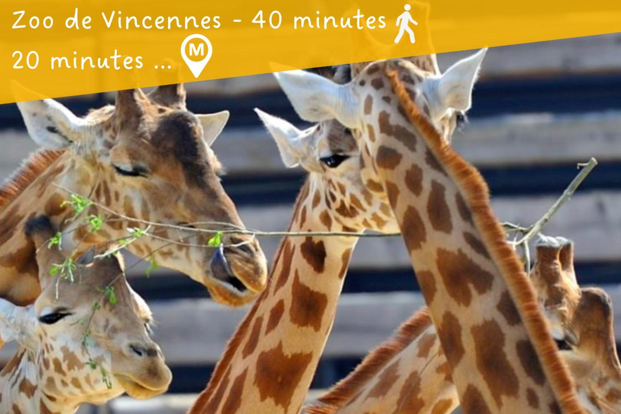 Appartement Entier Calme - Parking Free - Proche Paris Et Chateau - Wifi Hd Vincennes Dış mekan fotoğraf